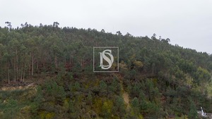 Terreno Rstico T0 - Vandoma, Paredes, Porto - Miniatura: 7/24