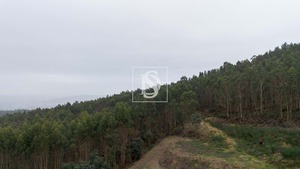 Terreno Rstico T0 - Vandoma, Paredes, Porto - Miniatura: 8/24