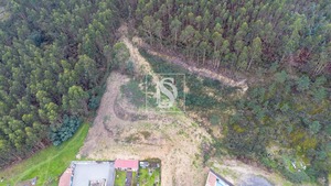 Terreno Rstico T0 - Vandoma, Paredes, Porto - Miniatura: 9/24