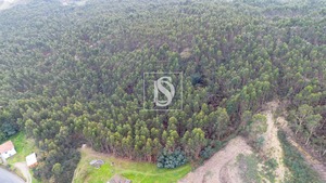 Terreno Rstico T0 - Vandoma, Paredes, Porto - Miniatura: 10/24
