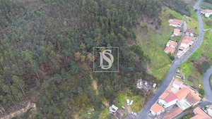 Terreno Rstico T0 - Vandoma, Paredes, Porto - Miniatura: 11/24