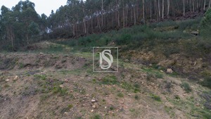 Terreno Rstico T0 - Vandoma, Paredes, Porto - Miniatura: 21/24