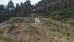 Terreno Rstico T0 - Vandoma, Paredes, Porto - Miniatura: 22/24