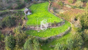Terreno Rstico T0 - Ansies, Amarante, Porto - Miniatura: 1/9