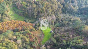 Terreno Rstico T0 - Ansies, Amarante, Porto - Miniatura: 4/9