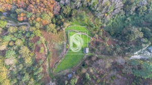 Terreno Rstico T0 - Ansies, Amarante, Porto - Miniatura: 5/9