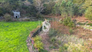 Terreno Rstico T0 - Ansies, Amarante, Porto - Miniatura: 6/9