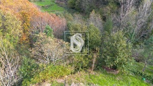 Terreno Rstico T0 - Ansies, Amarante, Porto - Miniatura: 7/9