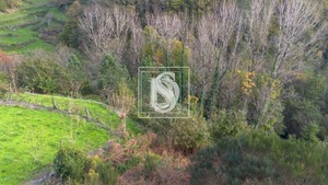 Terreno Rstico T0 - Ansies, Amarante, Porto - Miniatura: 8/9