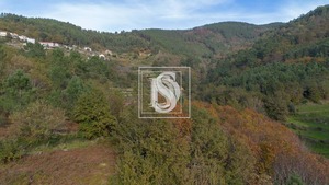 Terreno Rstico T0 - Ansies, Amarante, Porto - Miniatura: 9/9