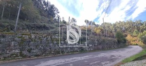 Terreno Rstico T0 - Candemil, Amarante, Porto - Miniatura: 2/17