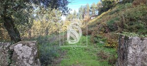 Terreno Rstico T0 - Candemil, Amarante, Porto - Miniatura: 6/17