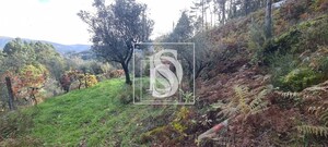 Terreno Rstico T0 - Candemil, Amarante, Porto - Miniatura: 7/17