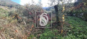 Terreno Rstico T0 - Candemil, Amarante, Porto - Miniatura: 11/17