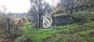 Terreno Rstico T0 - Candemil, Amarante, Porto - Miniatura: 14/17