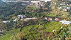 Terreno R�stico - Ansi�es, Amarante, Porto - Miniatura: 4/9