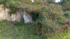 Terreno R�stico - Ansi�es, Amarante, Porto - Miniatura: 7/9