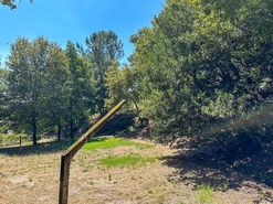 Terreno R�stico - Lufrei, Amarante, Porto - Miniatura: 8/11