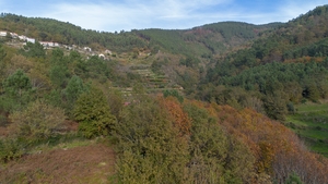 Terreno R�stico - Ansi�es, Amarante, Porto - Miniatura: 2/9