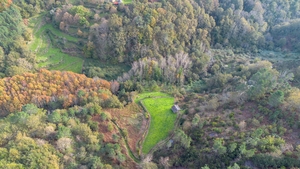 Terreno R�stico - Ansi�es, Amarante, Porto - Miniatura: 4/9