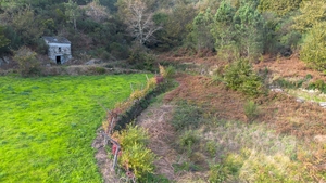 Terreno R�stico - Ansi�es, Amarante, Porto - Miniatura: 6/9