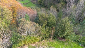 Terreno R�stico - Ansi�es, Amarante, Porto - Miniatura: 9/9