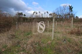 Terreno R�stico - Salvador do Monte, Amarante, Porto - Miniatura: 5/15