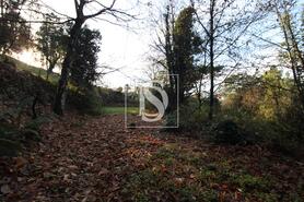 Terreno R�stico - REBORDELO, Amarante, Porto - Miniatura: 2/3