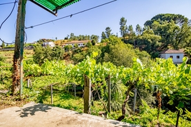 Moradia T3 - Vila Garcia, Amarante, Porto - Miniatura: 49/50