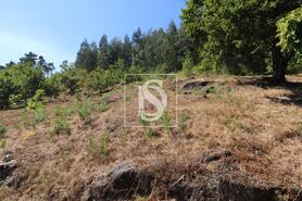 Terreno R�stico - Salvador do Monte, Amarante, Porto - Miniatura: 2/7