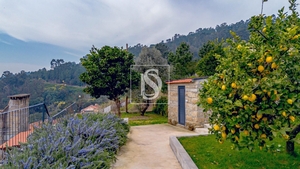 Moradia T3 - Ancede, Bai�o, Porto - Miniatura: 26/42