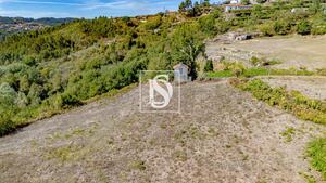 Terreno R�stico - Frende, Bai�o, Porto - Miniatura: 6/36