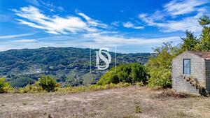 Terreno R�stico - Frende, Bai�o, Porto - Miniatura: 15/36