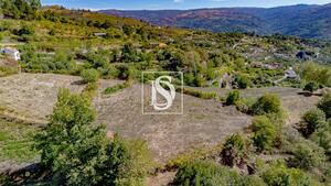 Terreno R�stico - Frende, Bai�o, Porto - Miniatura: 19/36