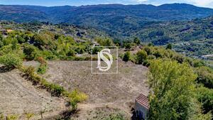 Terreno R�stico - Frende, Bai�o, Porto - Miniatura: 36/36