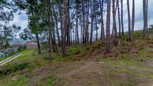 Terreno R�stico - Fregim, Amarante, Porto - Miniatura: 1/25