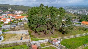 Terreno R�stico - Fregim, Amarante, Porto - Miniatura: 9/25