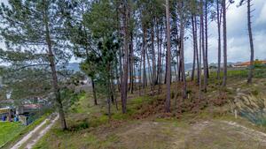 Terreno R�stico - Fregim, Amarante, Porto - Miniatura: 15/25