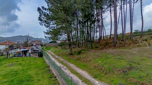 Terreno R�stico - Fregim, Amarante, Porto - Miniatura: 19/25