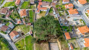 Terreno R�stico - Fregim, Amarante, Porto - Miniatura: 21/25