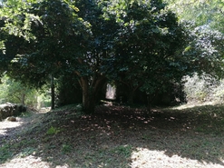 Quinta - Penha Longa, Marco de Canaveses, Porto - Miniatura: 14/18