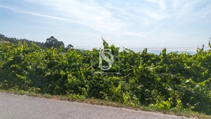 Terreno R�stico - Gouveia (S�o Sim�o), Amarante, Porto - Miniatura: 2/24