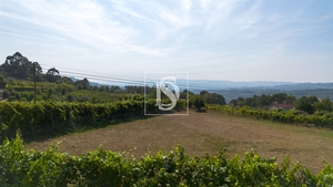 Terreno R�stico - Gouveia (S�o Sim�o), Amarante, Porto - Miniatura: 4/24