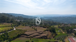 Terreno R�stico - Gouveia (S�o Sim�o), Amarante, Porto - Miniatura: 8/24