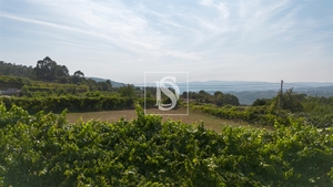 Terreno R�stico - Gouveia (S�o Sim�o), Amarante, Porto - Miniatura: 10/24