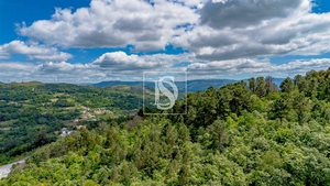 Terreno R�stico - Campelo, Bai�o, Porto - Miniatura: 2/12