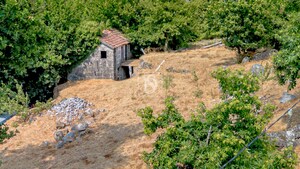 Moradia T2 - Campelo, Bai�o, Porto - Miniatura: 17/23