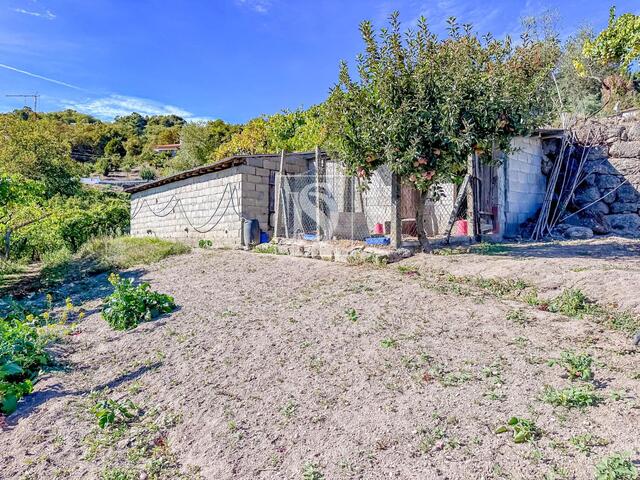 Terreno R�stico - Grilo, Bai�o, Porto - Imagem grande