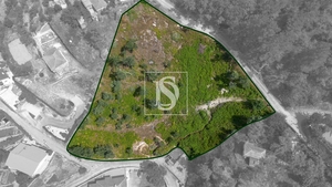 Terreno R�stico - JAZENTE, Amarante, Porto