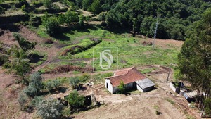 Quinta T2 - Gouveia (So Simo), Amarante, Porto - Miniatura: 2/27
